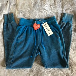 Wildfox Love Story Teal Blue Sweatpants Jogger